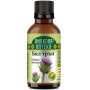 Bioherba Milk Thistle Tincture, 50 ml