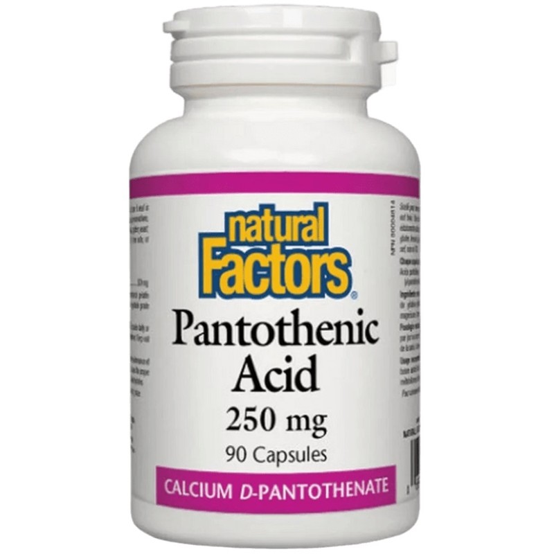 Natural Factors Panthothenic Acid 250 mg, 90 Capsules