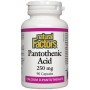 Natural Factors Panthothenic Acid 250 mg, 90 Capsules