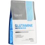 OstroVit Glutamine, 1000 Grams